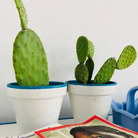 Mamamia #lipari 게스트하우스 3*