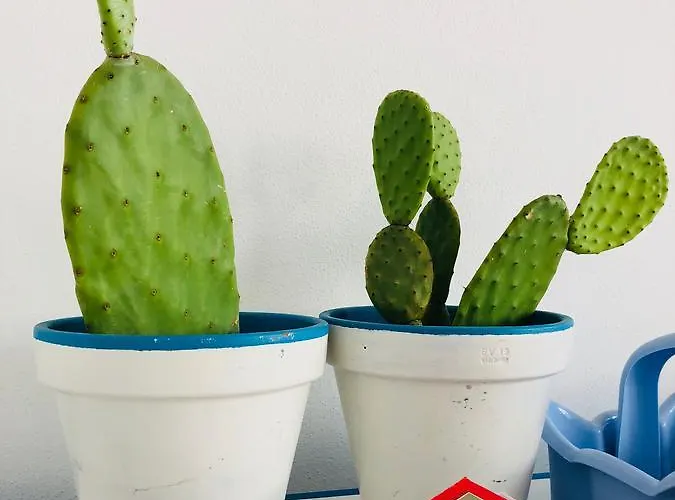 Mamamia #lipari Maison d'hôtes 4*